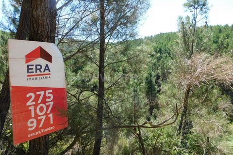 Helårsgrund i Fundao, Castelo Branco, Fundao - € 5.000 | Ref: 255230170 - foto 1