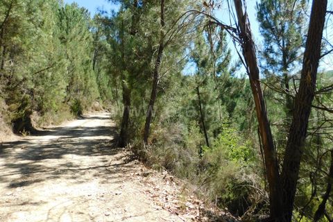 Helårsgrund i Fundao, Castelo Branco, Fundao - € 5.000 | Ref: 255230170 - foto 2