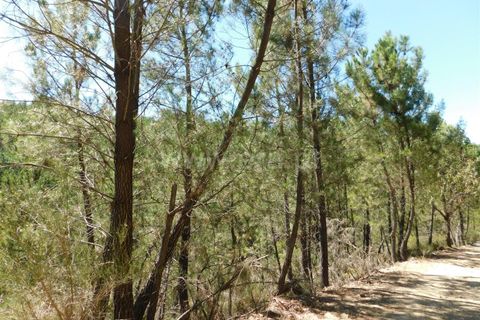 Helårsgrund i Fundao, Castelo Branco, Fundao - € 5.000 | Ref: 255230170 - foto 3