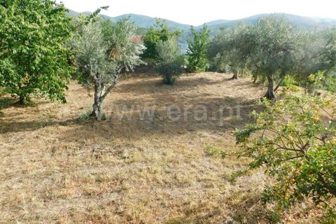 Landejendom i Fundao, Castelo Branco, Fundao - € 52.500 | Ref: 255230172 - foto 1