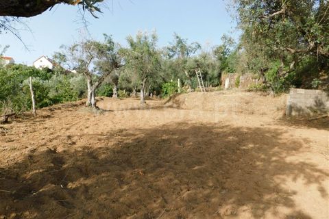 Landejendom i Fundao, Castelo Branco, Fundao - € 52.500 | Ref: 255230172 - foto 2