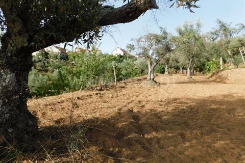 Landejendom i Fundao, Castelo Branco, Fundao - € 52.500 | Ref: 255230172 - foto 3