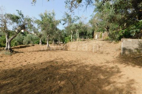 Landejendom i Fundao, Castelo Branco, Fundao - € 52.500 | Ref: 255230172 - foto 4