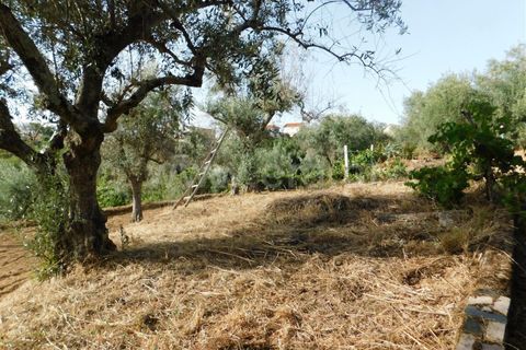 Landejendom i Fundao, Castelo Branco, Fundao - € 52.500 | Ref: 255230172 - foto 5