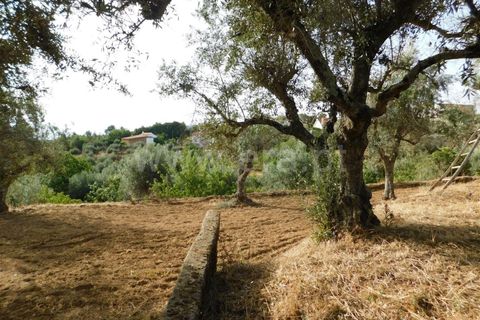 Landejendom i Fundao, Castelo Branco, Fundao - € 52.500 | Ref: 255230172 - foto 6