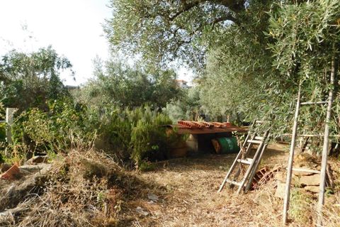 Landejendom i Fundao, Castelo Branco, Fundao - € 52.500 | Ref: 255230172 - foto 7