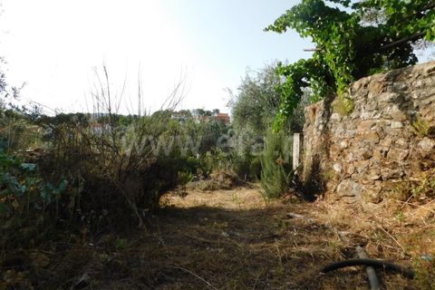 Landejendom i Fundao, Castelo Branco, Fundao - € 52.500 | Ref: 255230172 - foto 9