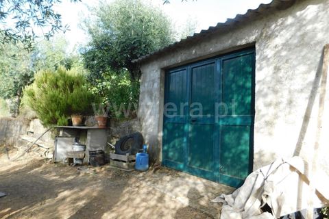 Landejendom i Fundao, Castelo Branco, Fundao - € 52.500 | Ref: 255230172 - foto 10