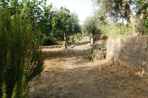 Landejendom i Fundao, Castelo Branco, Fundao - € 52.500 | Ref: 255230172 - foto 11