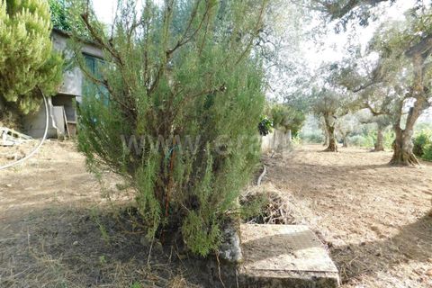 Landejendom i Fundao, Castelo Branco, Fundao - € 52.500 | Ref: 255230172 - foto 12