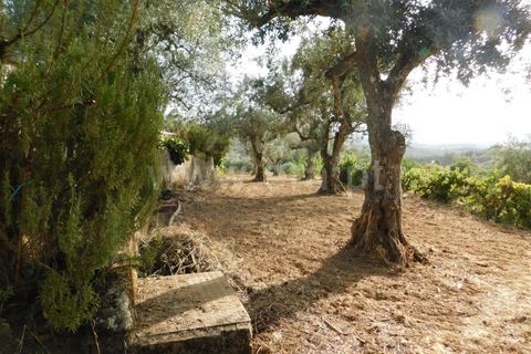 Landejendom i Fundao, Castelo Branco, Fundao - € 52.500 | Ref: 255230172 - foto 13