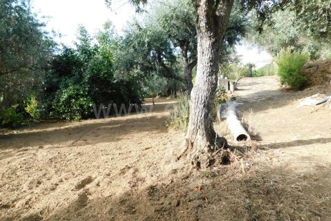 Landejendom i Fundao, Castelo Branco, Fundao - € 52.500 | Ref: 255230172 - foto 14