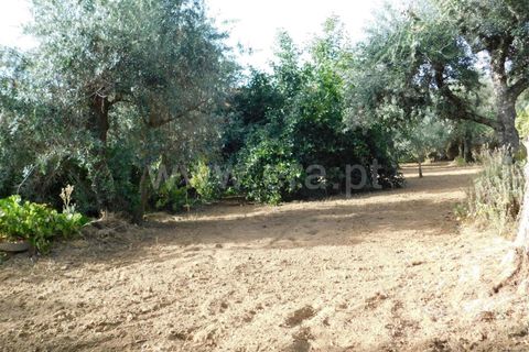 Landejendom i Fundao, Castelo Branco, Fundao - € 52.500 | Ref: 255230172 - foto 15