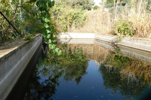 Landejendom i Fundao, Castelo Branco, Fundao - € 52.500 | Ref: 255230172 - foto 17