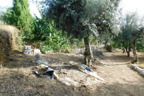 Landejendom i Fundao, Castelo Branco, Fundao - € 52.500 | Ref: 255230172 - foto 18