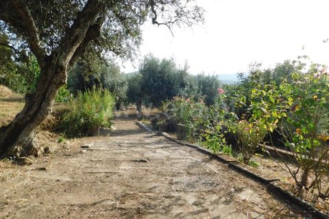 Landejendom i Fundao, Castelo Branco, Fundao - € 52.500 | Ref: 255230172 - foto 19