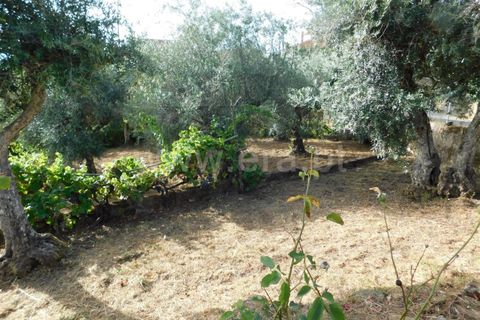 Landejendom i Fundao, Castelo Branco, Fundao - € 52.500 | Ref: 255230172 - foto 20