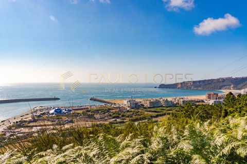 Villa i Nazare, Leiria, Nazare - € 895.000 | Ref: PL1003 - foto 35