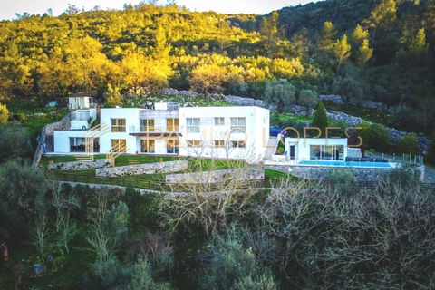 Villa i Porto de Mos, Leiria, Porto de Mos - € 920.000 | Ref: PL1016 - foto 1