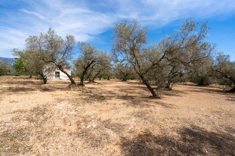Finca i Mas De Barberans, Tarragona, Mas De Barberans - € 27.500 | Ref: 57 - foto 20