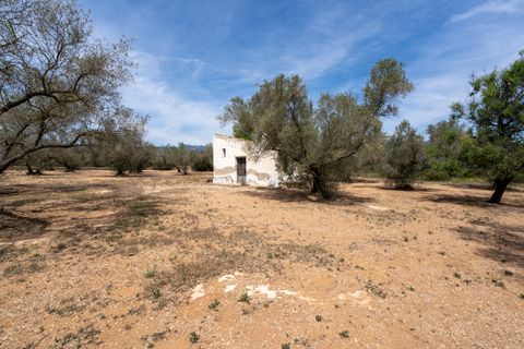 Finca i Mas De Barberans, Tarragona, Mas De Barberans - € 27.500 | Ref: 57 - foto 9