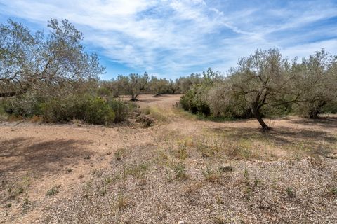 Finca i Mas De Barberans, Tarragona, Mas De Barberans - € 27.500 | Ref: 57 - foto 6