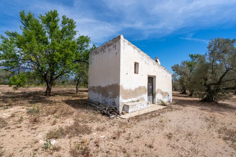 Finca i Mas De Barberans, Tarragona, Mas De Barberans - € 27.500 | Ref: 57 - foto 2