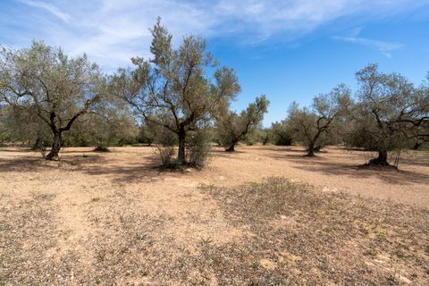 Finca i Mas De Barberans, Tarragona, Mas De Barberans - € 27.500 | Ref: 57 - foto 8