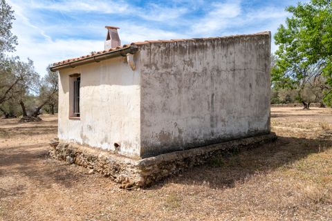 Finca i Mas De Barberans, Tarragona, Mas De Barberans - € 27.500 | Ref: 57 - foto 4