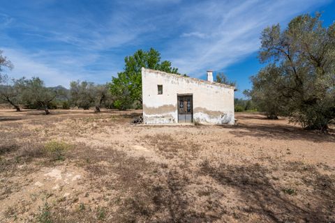 Finca i Mas De Barberans, Tarragona, Mas De Barberans - € 27.500 | Ref: 57 - foto 19
