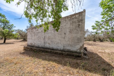 Finca i Mas De Barberans, Tarragona, Mas De Barberans - € 27.500 | Ref: 57 - foto 3
