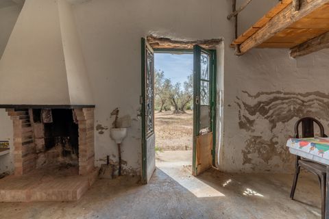 Finca i Mas De Barberans, Tarragona, Mas De Barberans - € 27.500 | Ref: 57 - foto 13