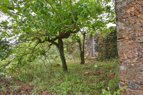 Byhus i Miranda do Corvo, Coimbra, Miranda do Corvo - € 65.000 | Ref: 118677 - foto 5