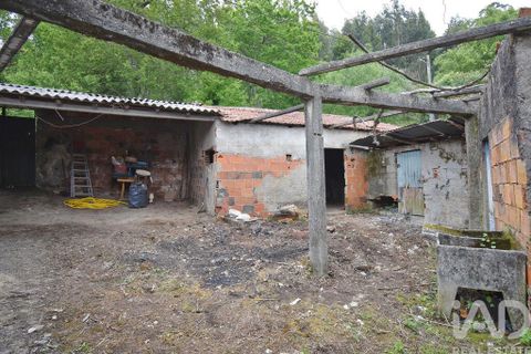 Byhus i Miranda do Corvo, Coimbra, Miranda do Corvo - € 65.000 | Ref: 118677 - foto 24