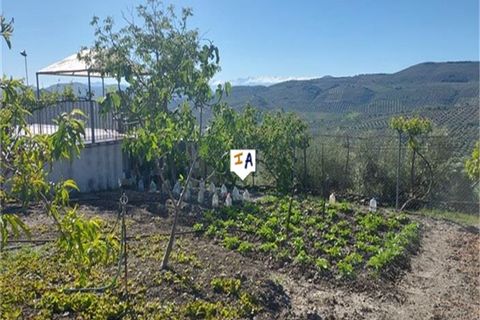 Cortijo i Aldea Ermita Nueva, Jaen, Aldea Ermita Nueva - € 206.500 | Ref: CJ858 - foto 15