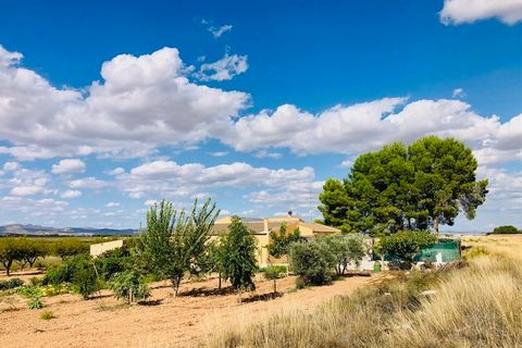 Landejendom i Yecla, Murcia, Yecla - € 275.000 | Ref: C-1666 - foto 3