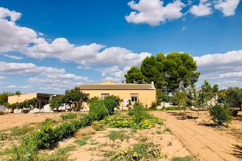 Landejendom i Yecla, Murcia, Yecla - € 275.000 | Ref: C-1666 - foto 4
