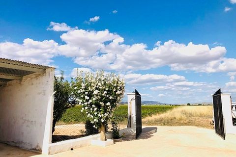 Landejendom i Yecla, Murcia, Yecla - € 275.000 | Ref: C-1666 - foto 6