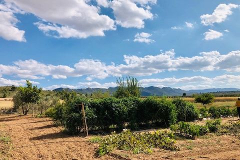 Landejendom i Yecla, Murcia, Yecla - € 275.000 | Ref: C-1666 - foto 7