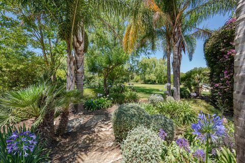 Landejendom i Pollenca, Mallorca, Pollenca - € 3.375.000 | Ref: POL52749 - foto 34