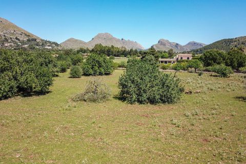 Tomt i Pollenca, Mallorca, Pollenca - € 1 300 000 | Ref: POL0619PTP0 - foto 2