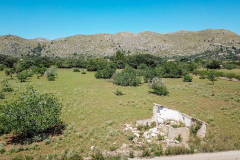 Tomt i Pollenca, Mallorca, Pollenca - € 1 300 000 | Ref: POL0619PTP0 - foto 3