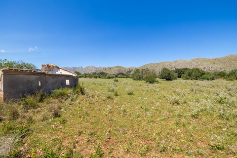 Tomt i Pollenca, Mallorca, Pollenca - € 1 300 000 | Ref: POL0619PTP0 - foto 4