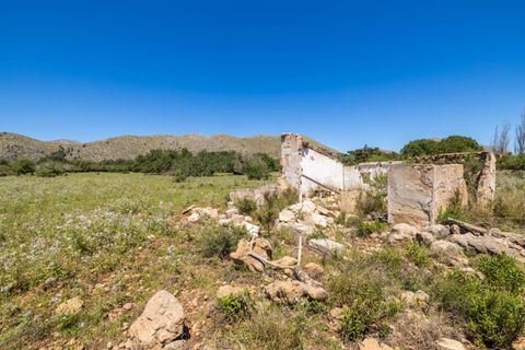 Tomt i Pollenca, Mallorca, Pollenca - € 1 300 000 | Ref: POL0619PTP0 - foto 5