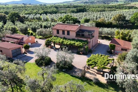 Landejendom i Capalbio, Grosseto, Capalbio - € 980.000 | Ref: v-0072 - foto 3