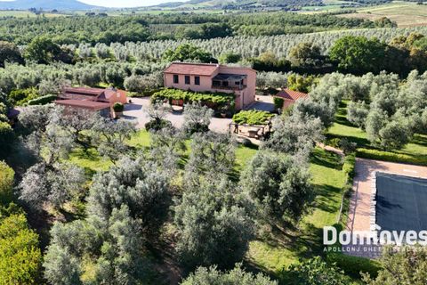 Landejendom i Capalbio, Grosseto, Capalbio - € 980.000 | Ref: v-0072 - foto 5