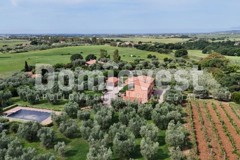 Landejendom i Capalbio, Grosseto, Capalbio - € 980.000 | Ref: v-0072 - foto 6