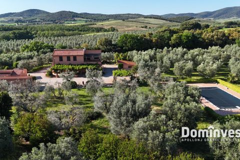 Landejendom i Capalbio, Grosseto, Capalbio - € 980.000 | Ref: v-0072 - foto 7