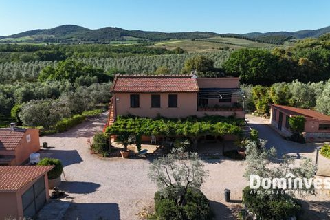 Landejendom i Capalbio, Grosseto, Capalbio - € 980.000 | Ref: v-0072 - foto 8