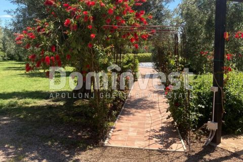 Landejendom i Capalbio, Grosseto, Capalbio - € 980.000 | Ref: v-0072 - foto 9